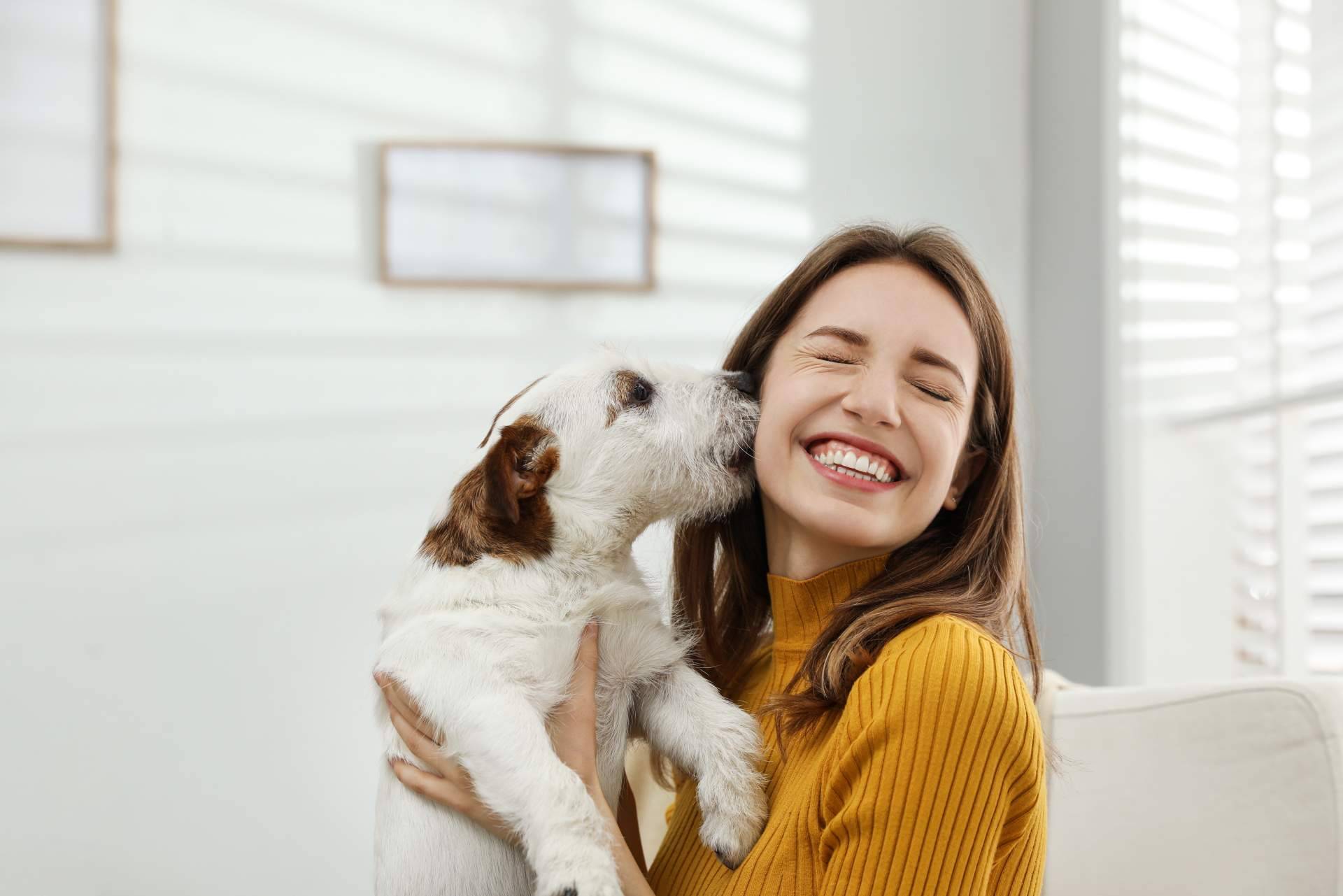 La importancia de la educación canina independientemente de la raza o tamaño, por DogCareBcn