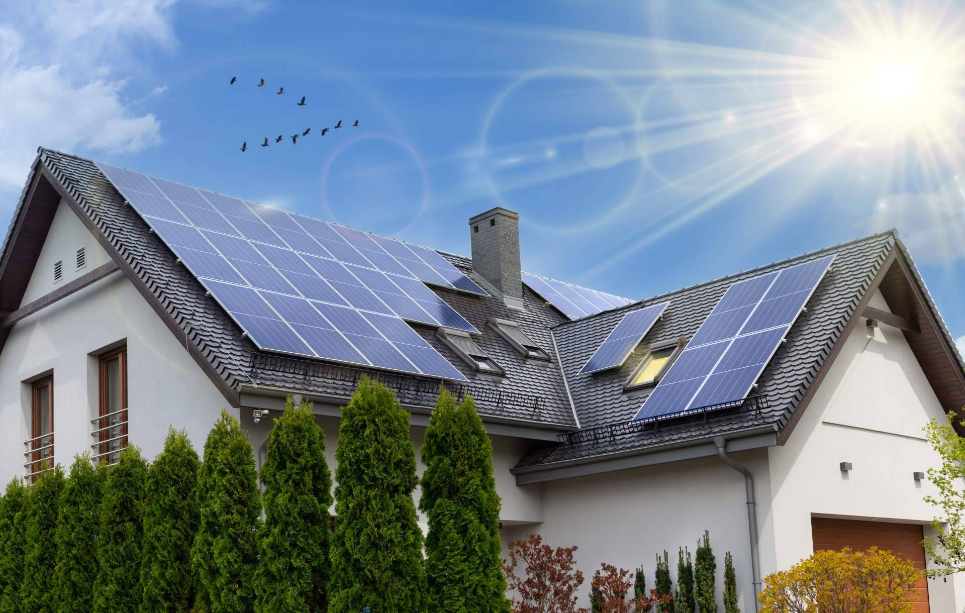 Los tipos de paneles solares que existen y cuál elegir. La ayuda de Solomnia