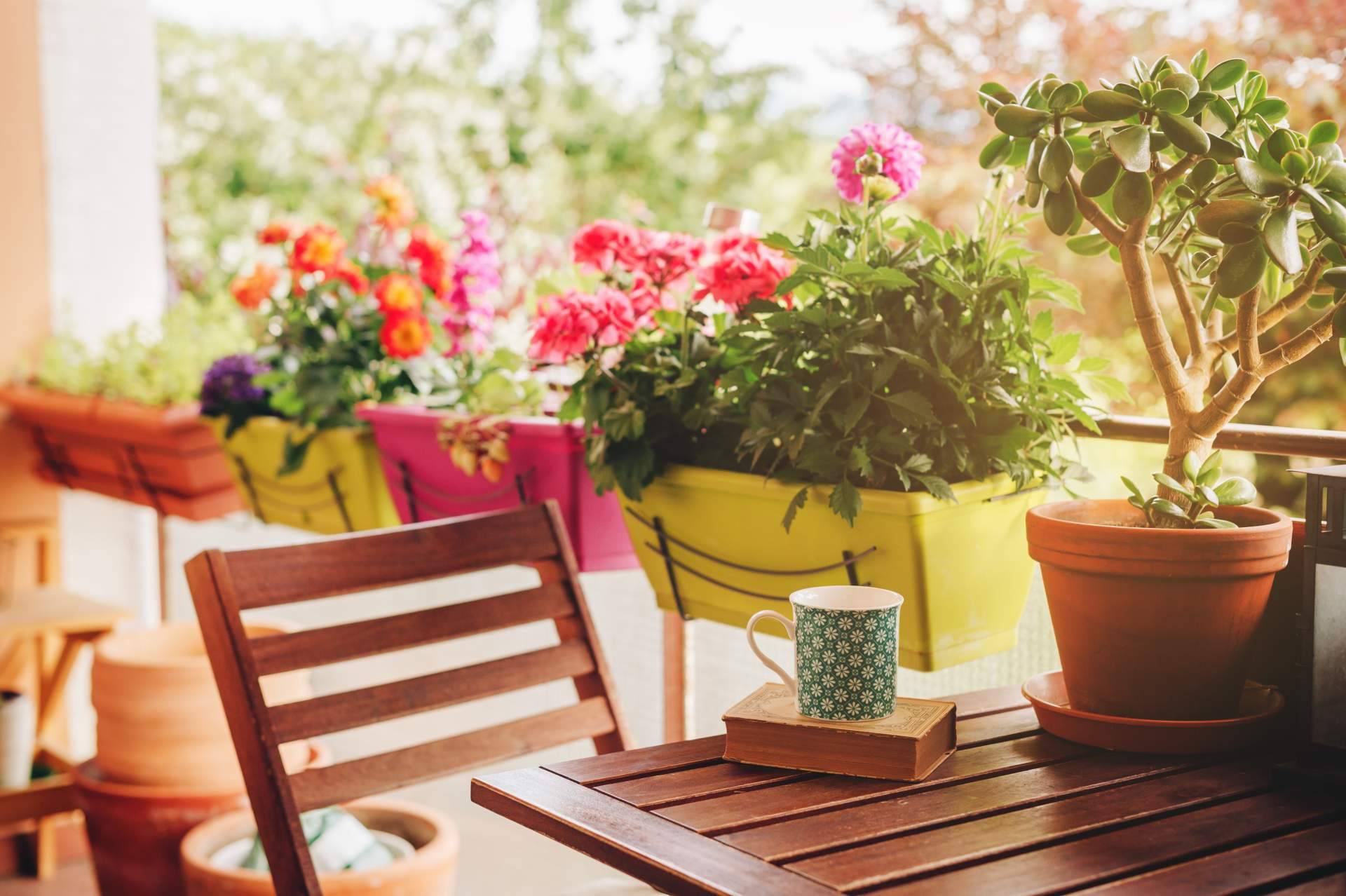 Aportar una apariencia especial y única al hogar gracias a los productos de decoración exterior de Hogar y Más