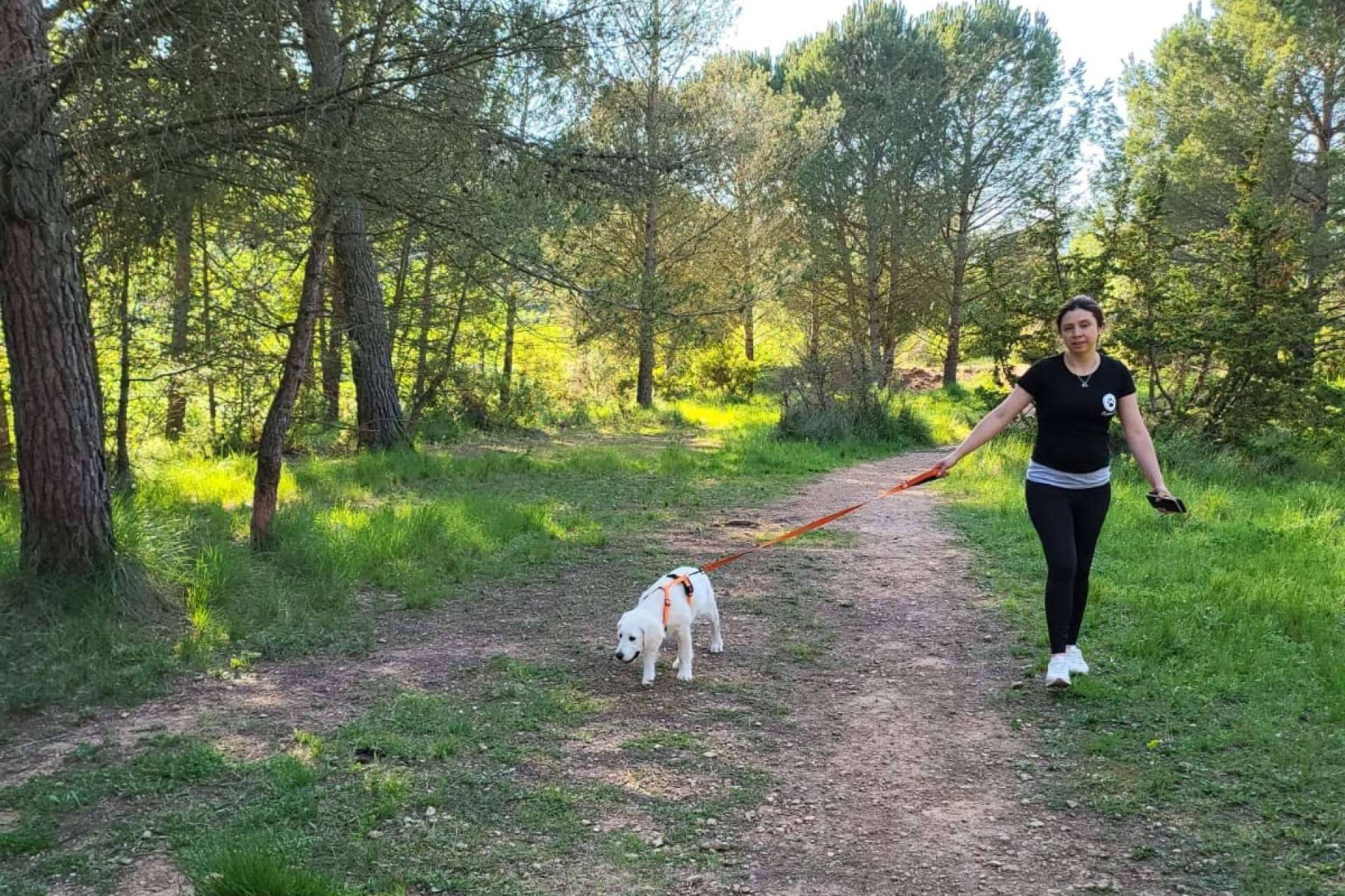 La alternativa de garantías para el cuidado de los peludos en Barcelona Sur y Tarragona, de la mano de El Perro Feliz