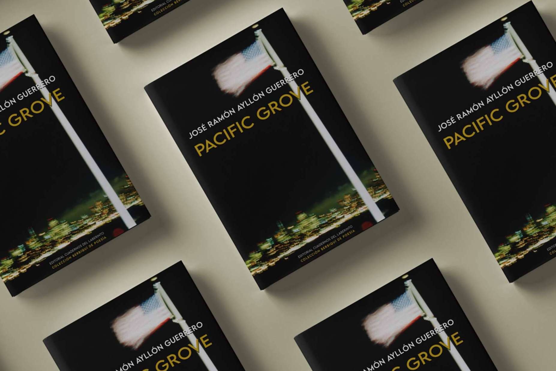 Ya está en las librerías 'Pacific Grove', el nuevo poemario de José Ramón Ayllón Guerrero