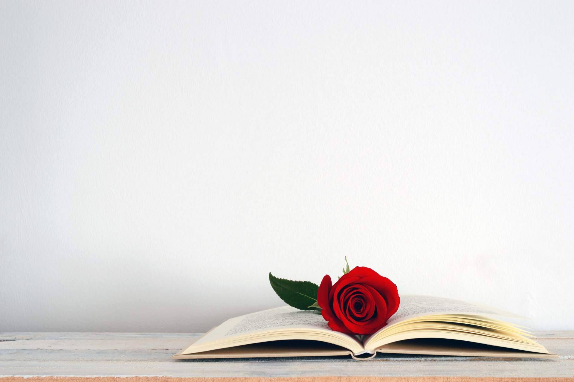 Sant Jordi, ¿cómo nació la tradición catalana de las rosas y los libros?
