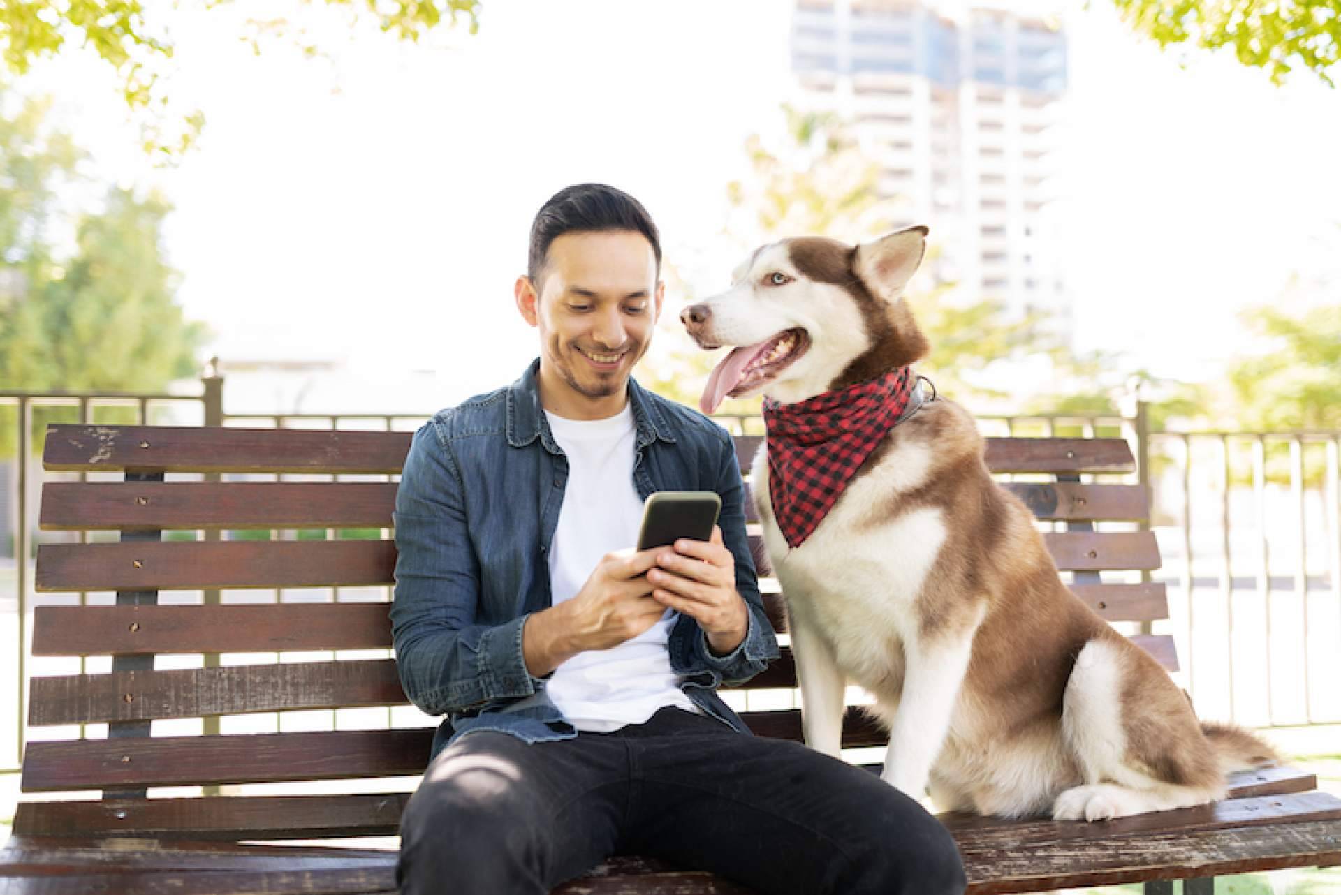Dar con algunos de los mejores lugares pet friendly para un perro gracias a ADOPTA