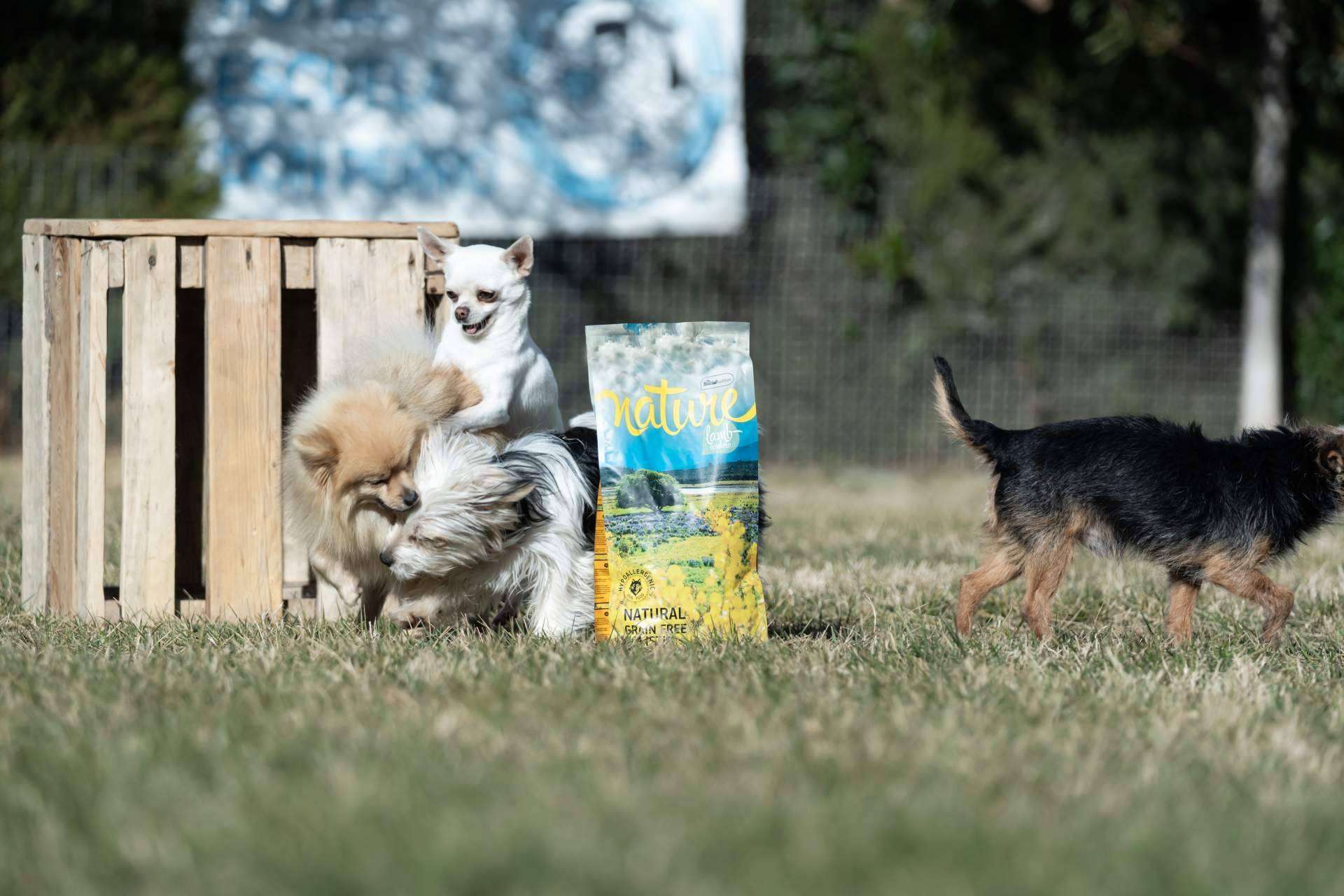 Pienso para perros sin cereales, con la gama Nature de Satisfaction