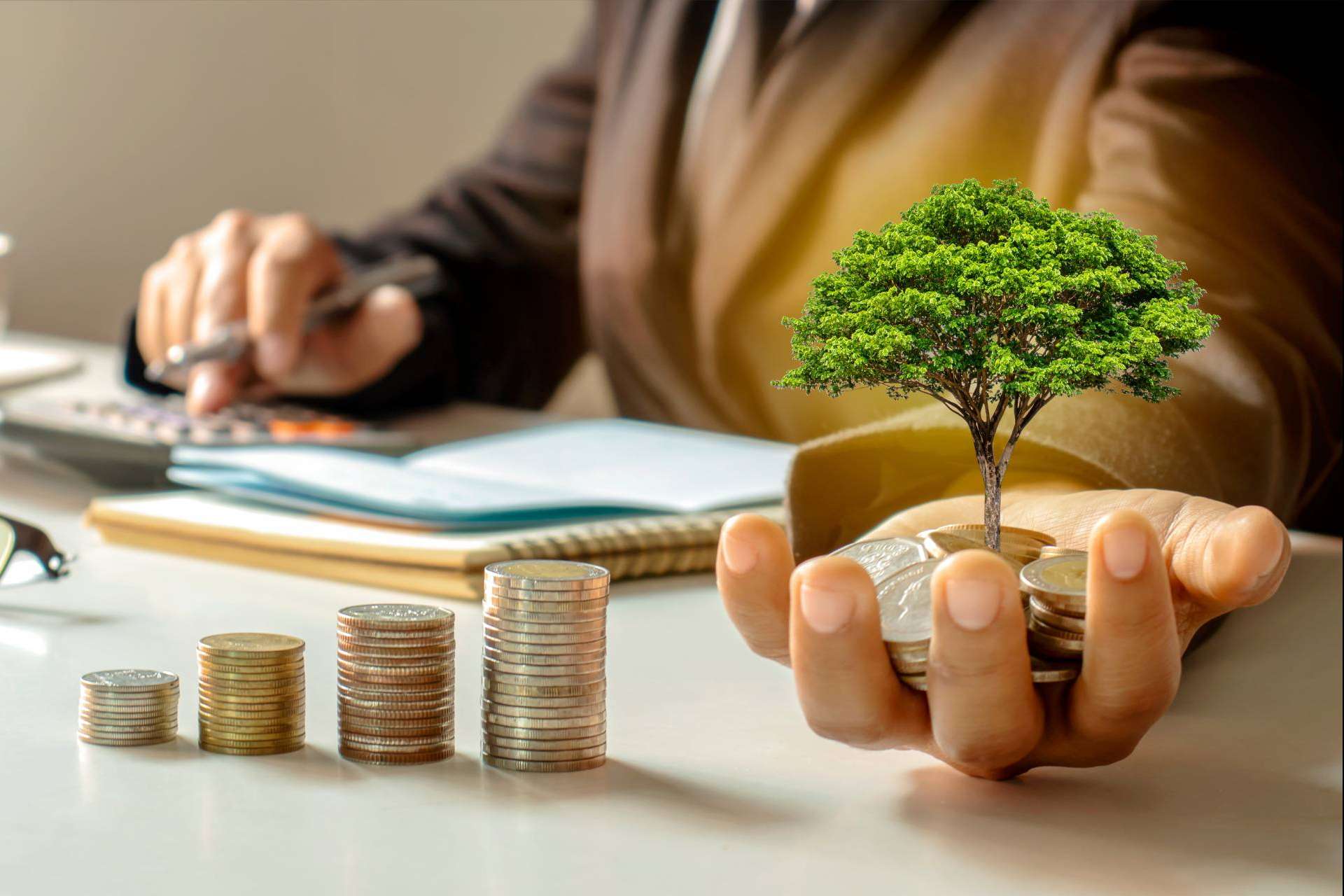 Pixelesfera defiende que no es necesario invertir en anuncios, crear contenidos o ampliar la red comercial para aumentar ventas y beneficios