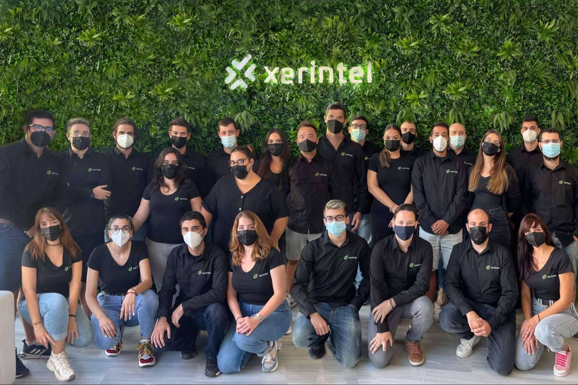 Los expertos en desarrollo web y app de Xerintel tienen una puntuación de 4,9 sobre 5,0 en Google