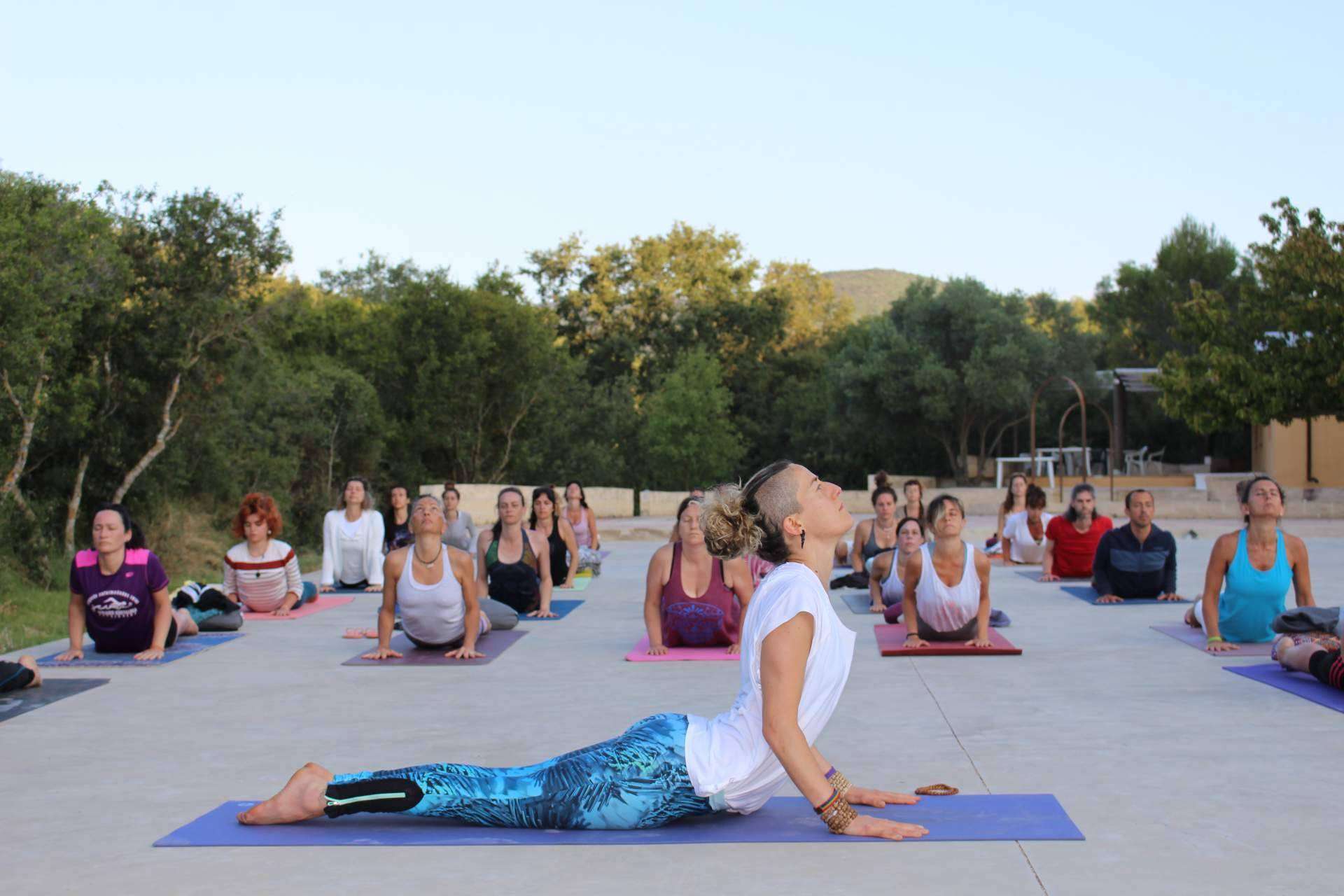 ¿Dónde encontrar retiros intensivos de yoga? Escuela Mahashakti