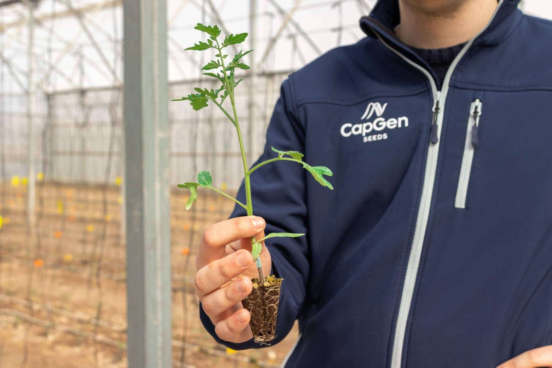 CapGen Seeds y la investigación, desarrollo e innovación en semillas hortícolas