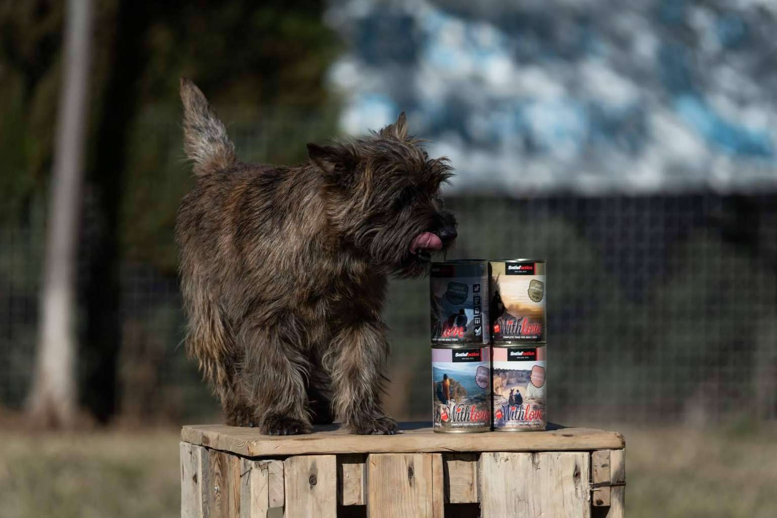 Satisfaction presenta With Love, la nueva gama de comida húmeda para perros y gatos