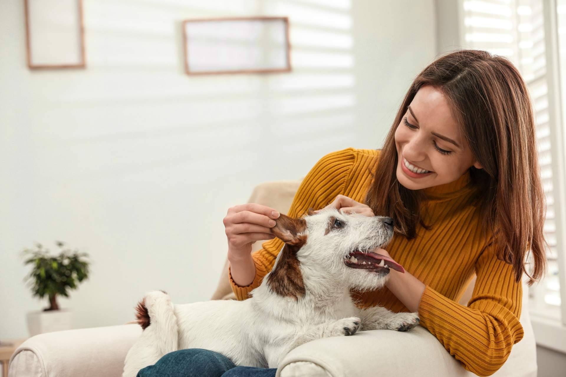 El adiestramiento y el amor son insuficientes para tener el perro que se quiere