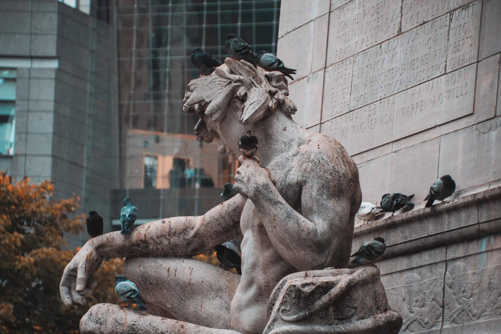 Un control de aves eficaz para la protección del patrimonio histórico