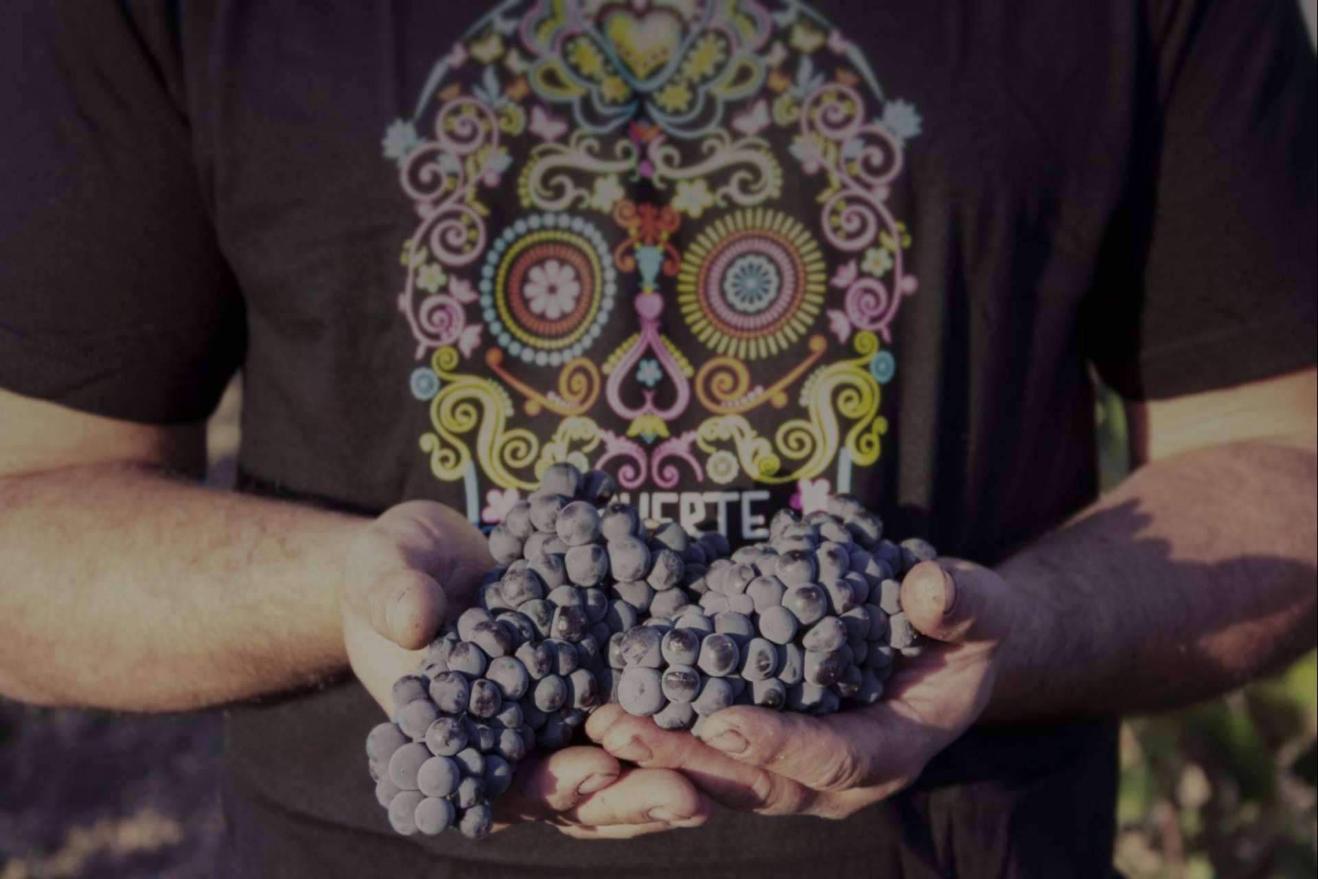 La uva Monastrell es la joya enológica que protagoniza los vinos de DEMUERTE WINES