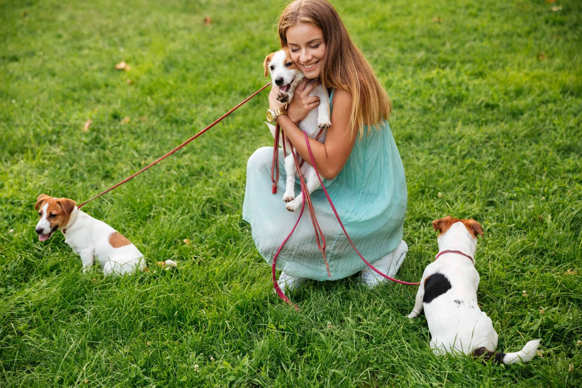 Social Animals, conocido como el Tinder de las mascotas, reúne a más de 20.000 usuarios