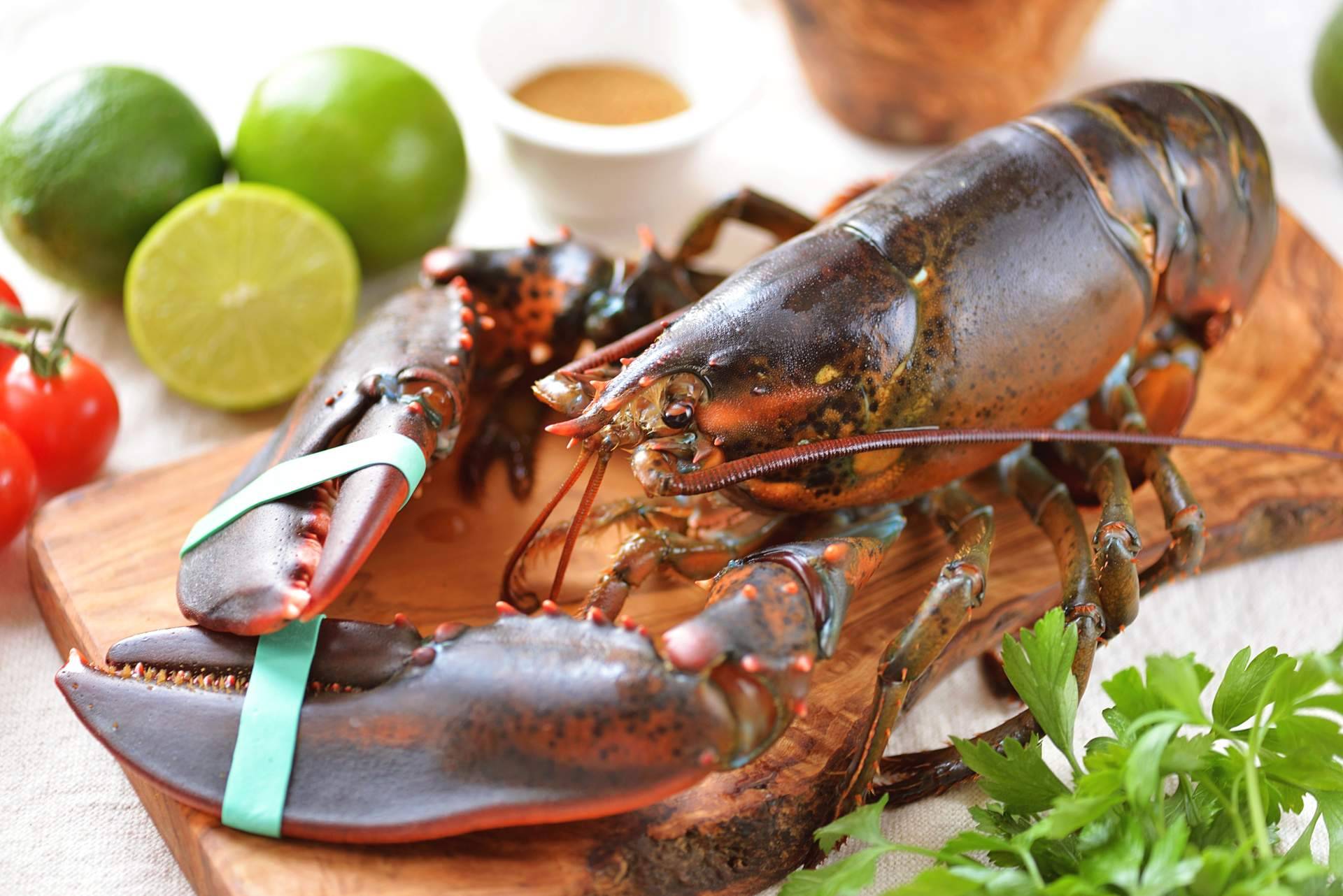 Pescadería Younes Ceuta explica dónde encontrar bogavante y otros productos del mar de alta calidad