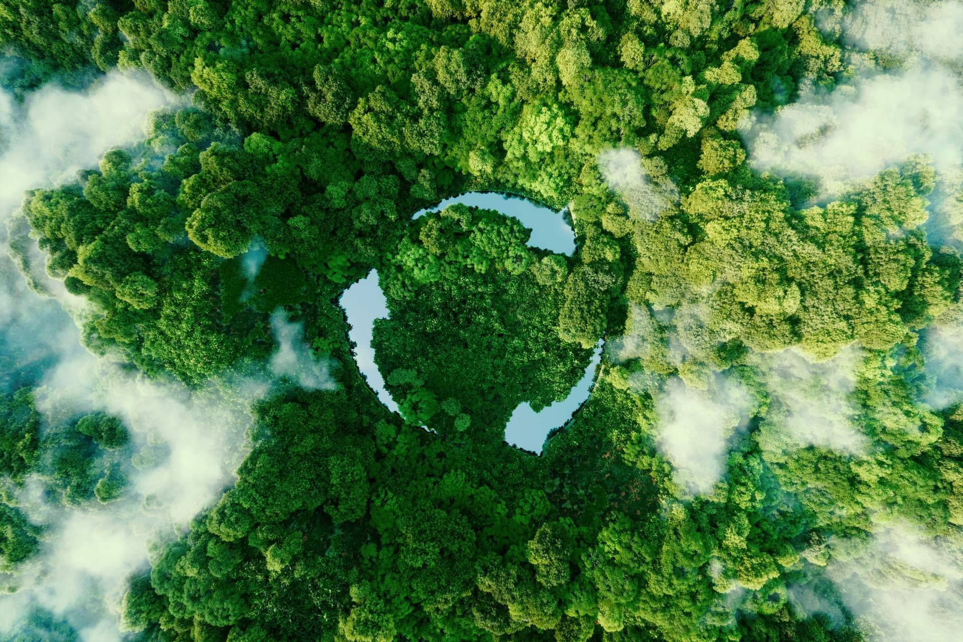 La importancia de la conciencia ambiental y la sostenibilidad en el ámbito empresarial