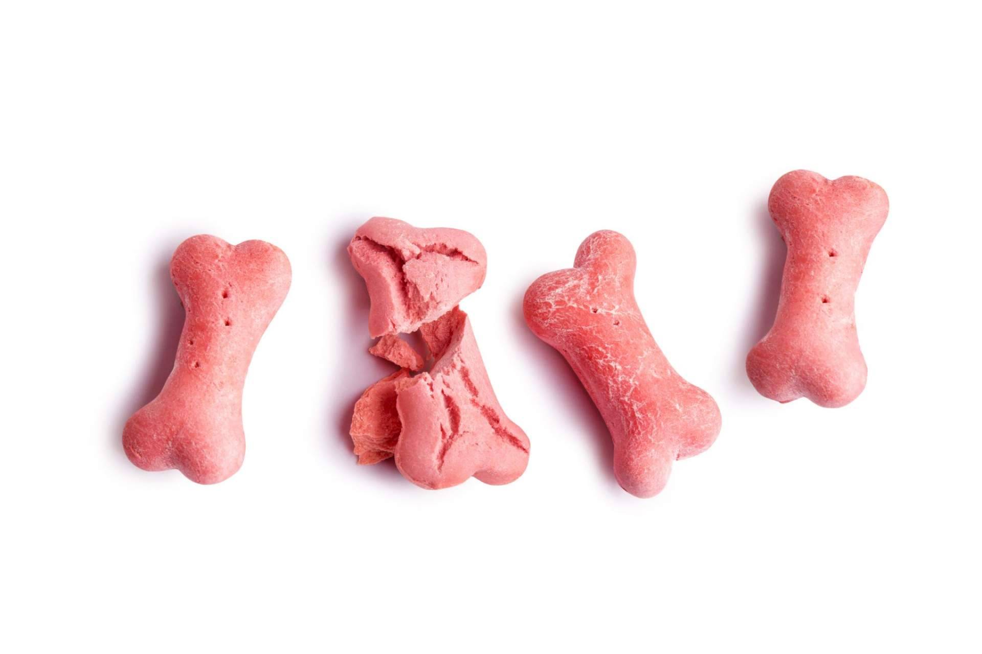 Can Xana y su catálogo de snacks para perros y gatos