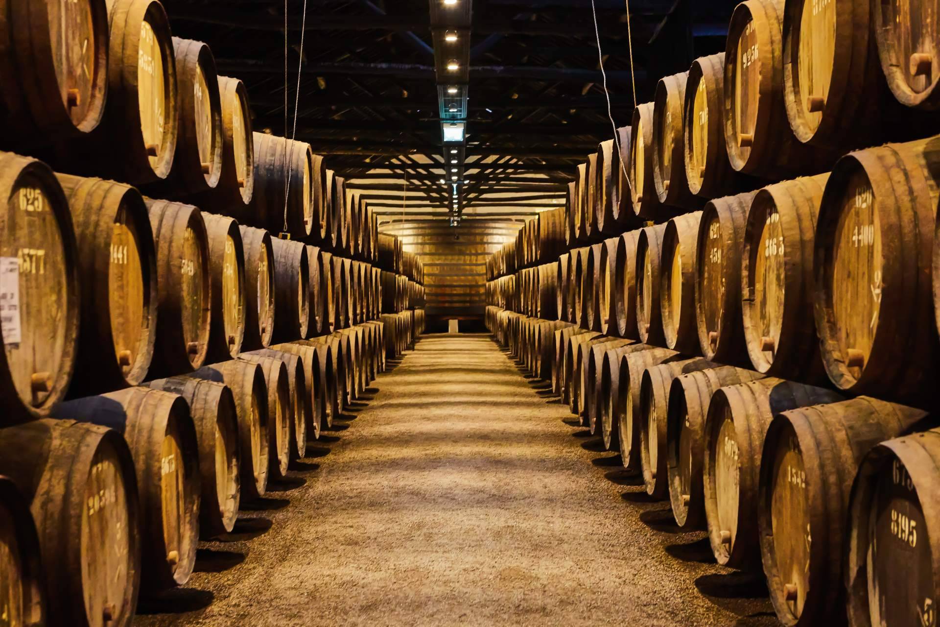 Certitec presenta un ERP vitivinícola específico para bodegas