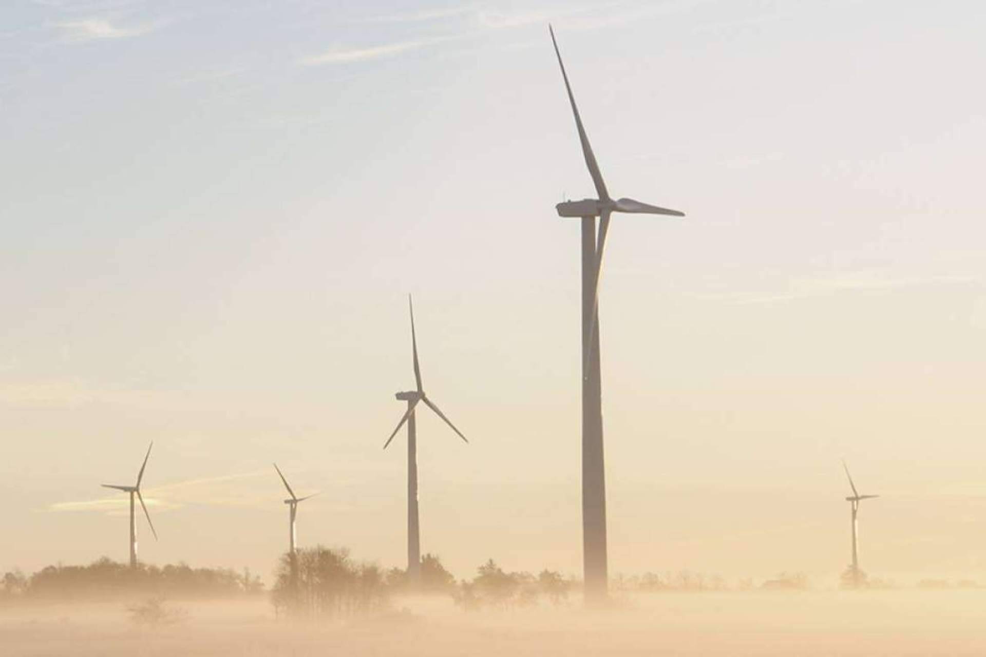 Dcycle, la plataforma dedicada a comunicar el impacto ambiental de las pymes