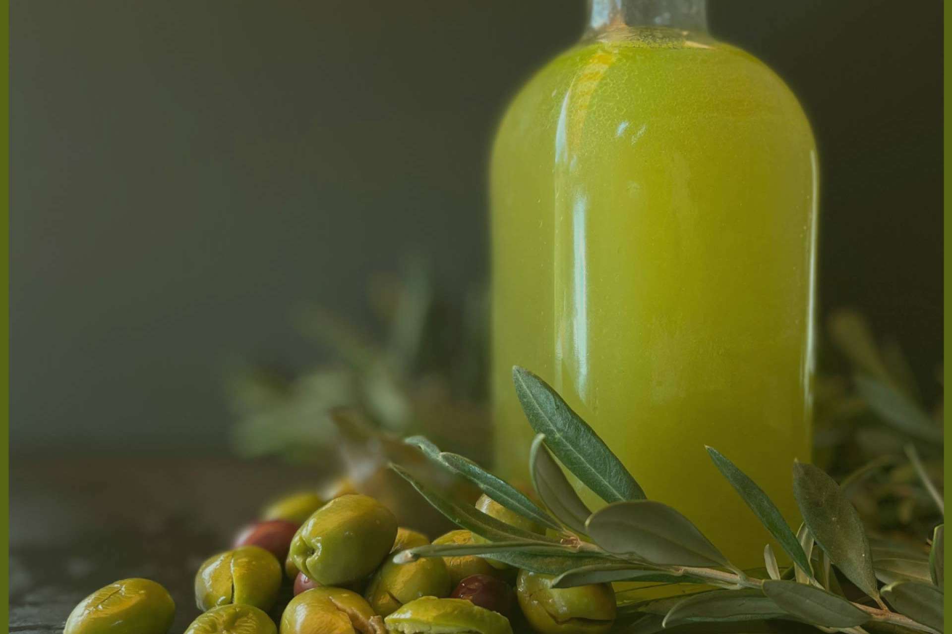 Olipaterna, productores de aceite de oliva virgen extra de gran calidad