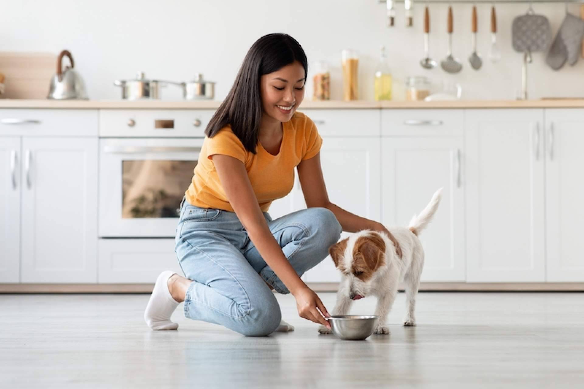 Las claves para ayudar a los perros con problemas articulares a través de su alimentación