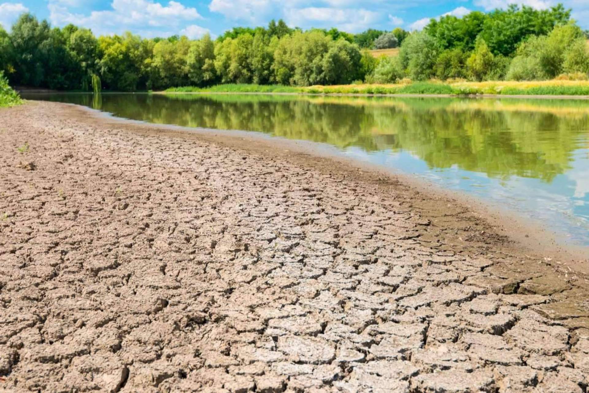 ¿Cómo son los sistemas de tratamiento de aguas pluviales con los que cuenta Pluvial?