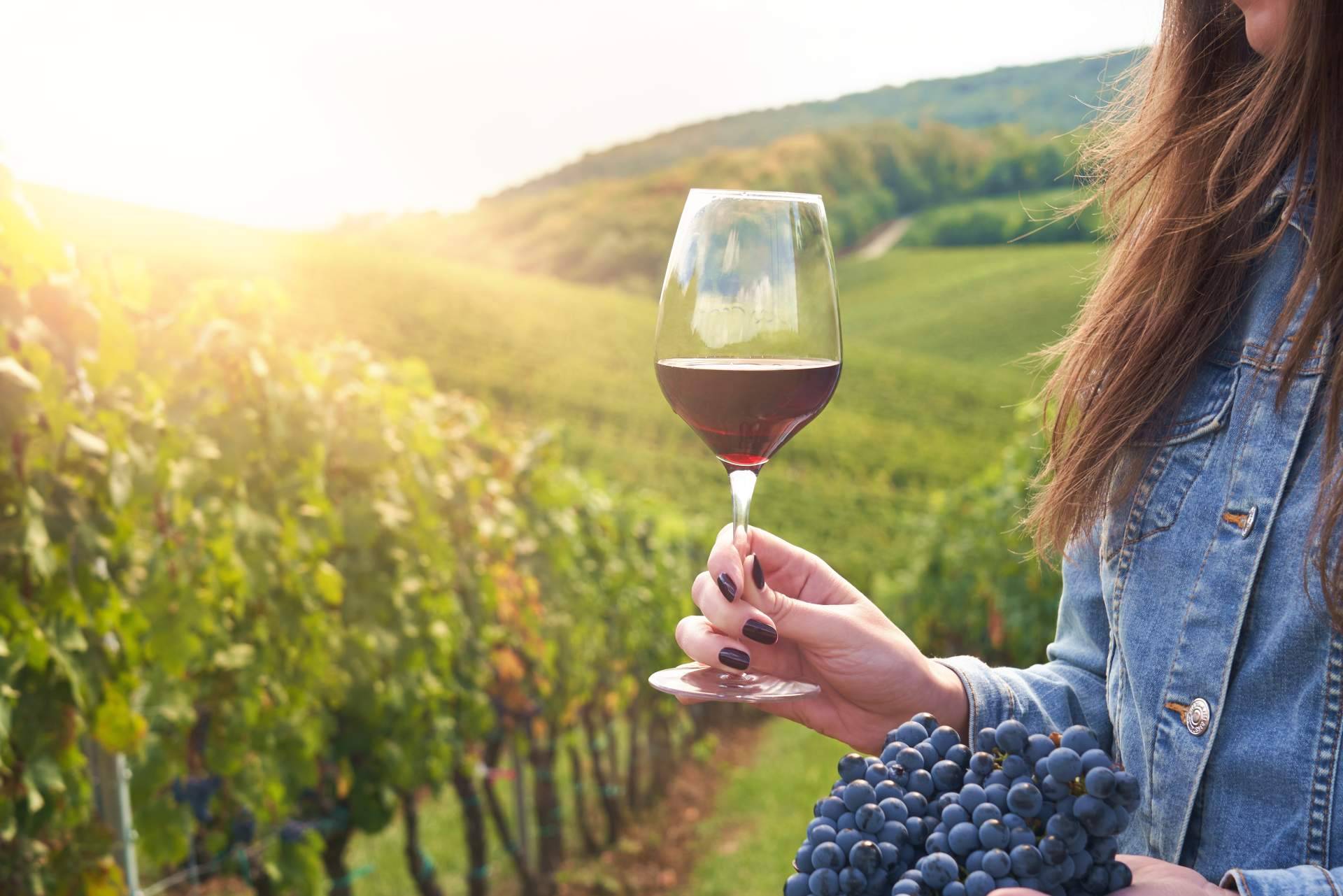 Los cavas y vinos ecológicos de Naturelovers Wines