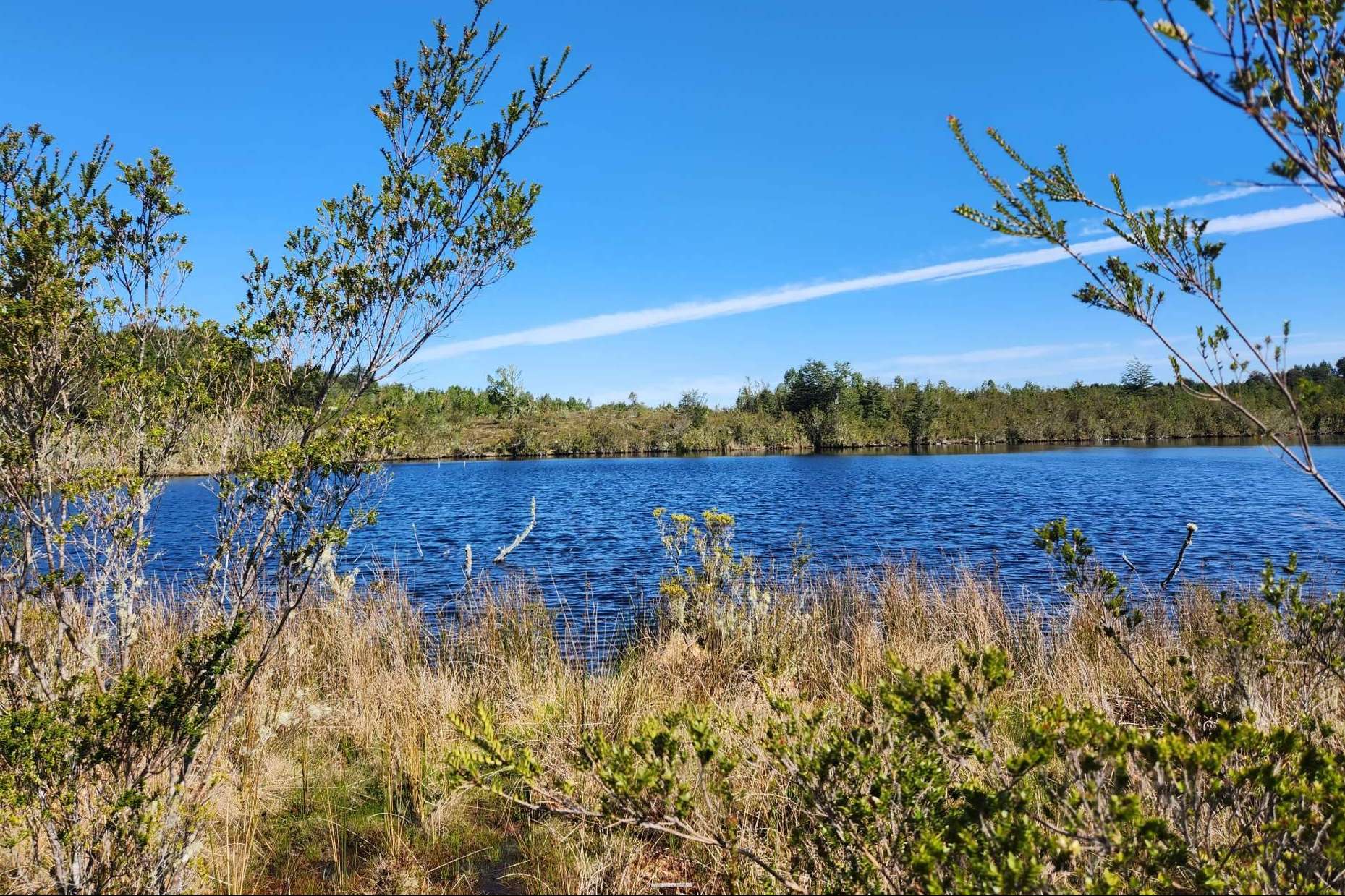 Latitudes Australes realiza proyectos de parcelas que permiten disfrutar de la tranquilidad y la belleza de Chiloé