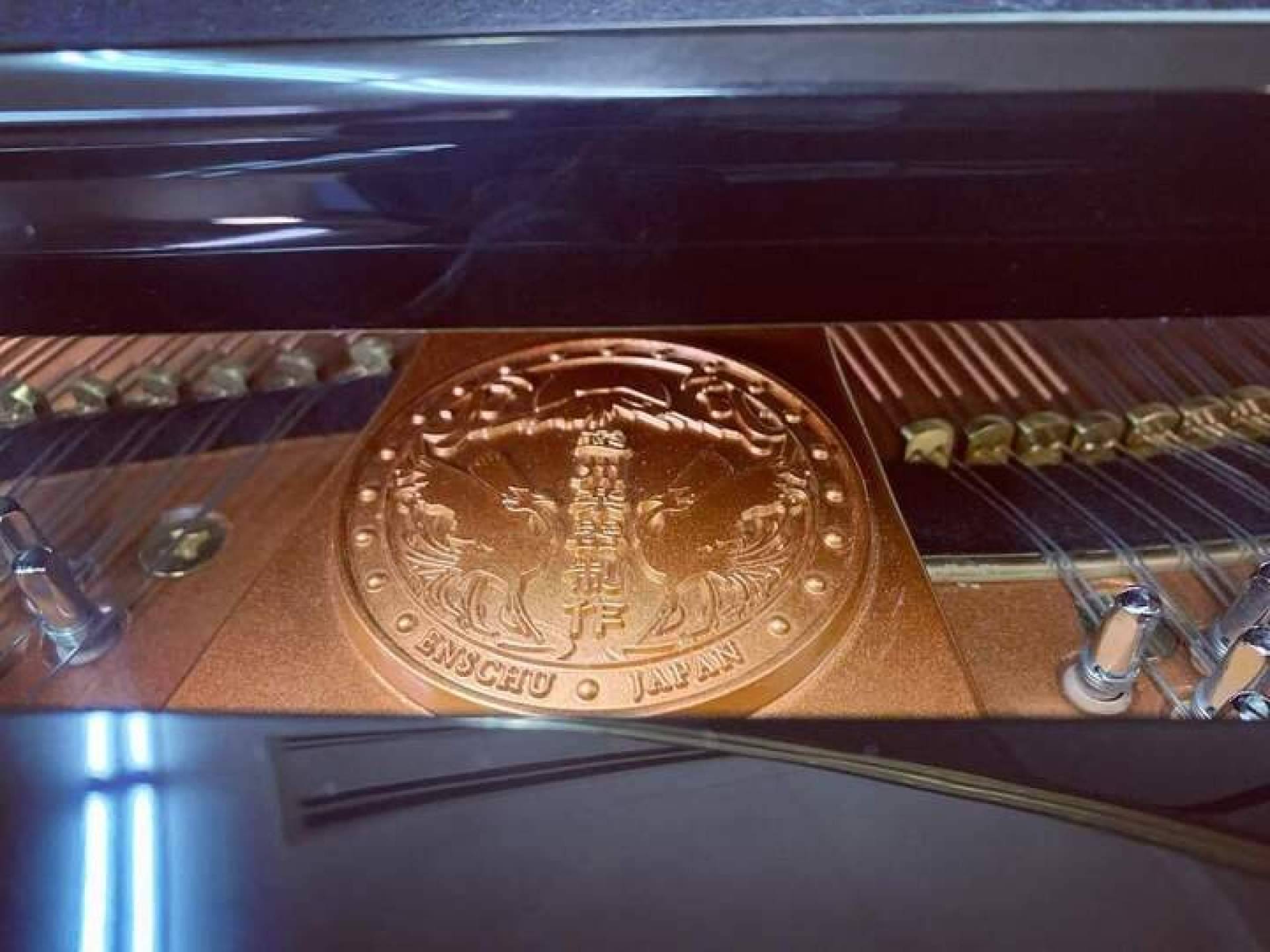Pianos profesionales con los expertos de Real Music Spain