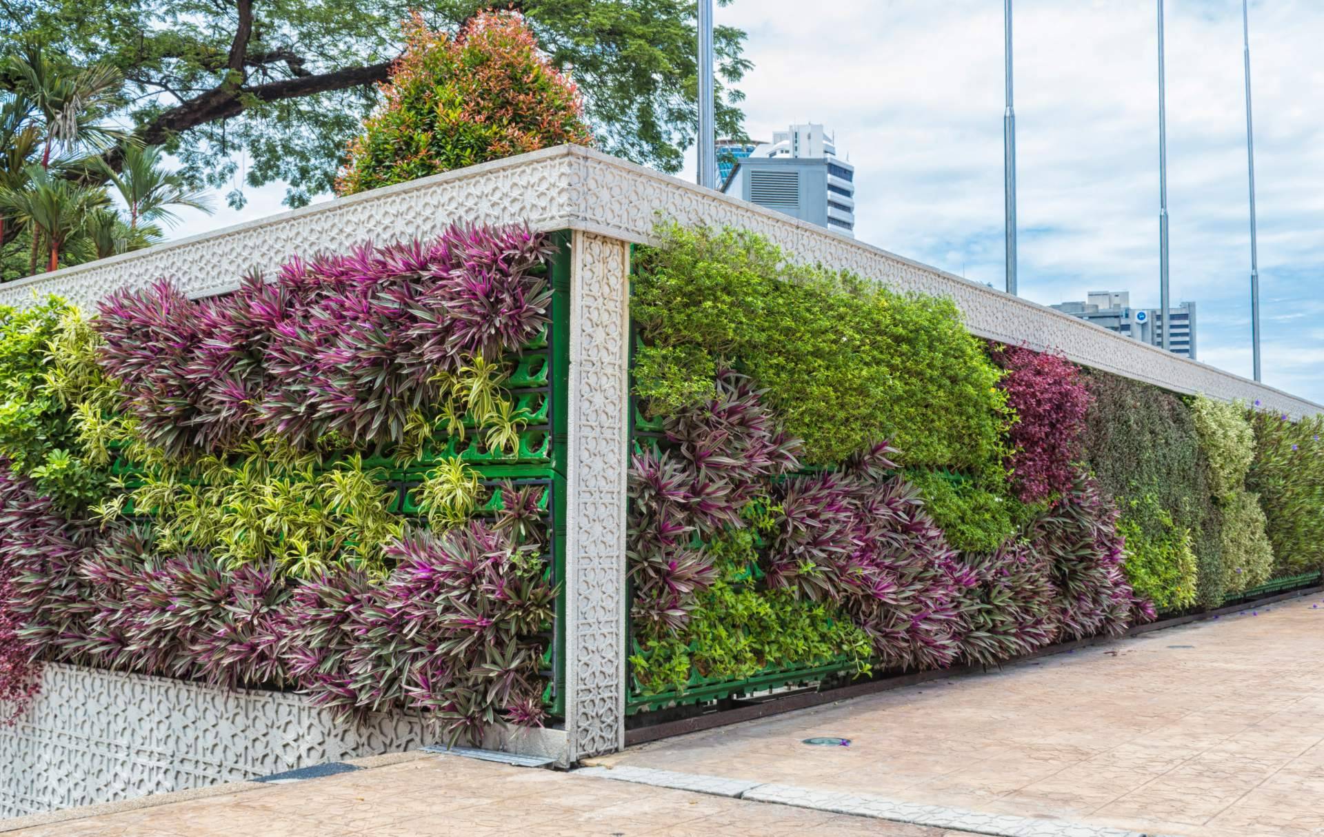 Black Friday, el momento ideal para transformar espacios con JardinVertical.es