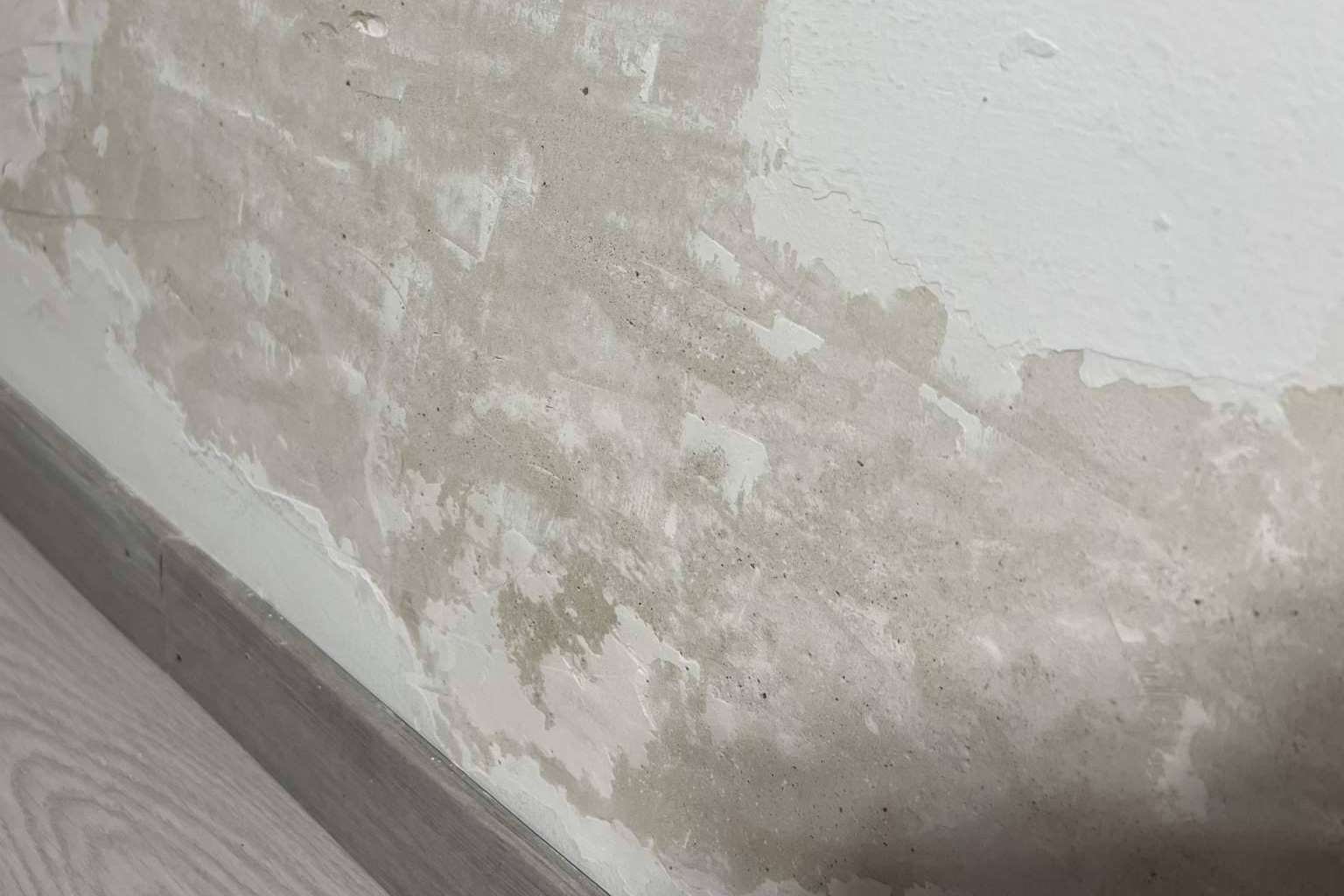 ¿Cómo quitar la humedad de la pared? Preactiva