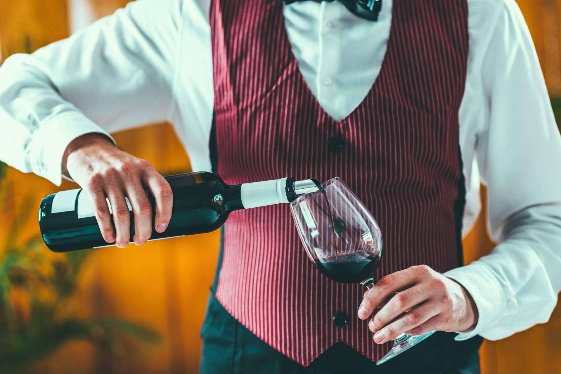 Diccionario enciclopédico completo de cocina profesional y amateur en español