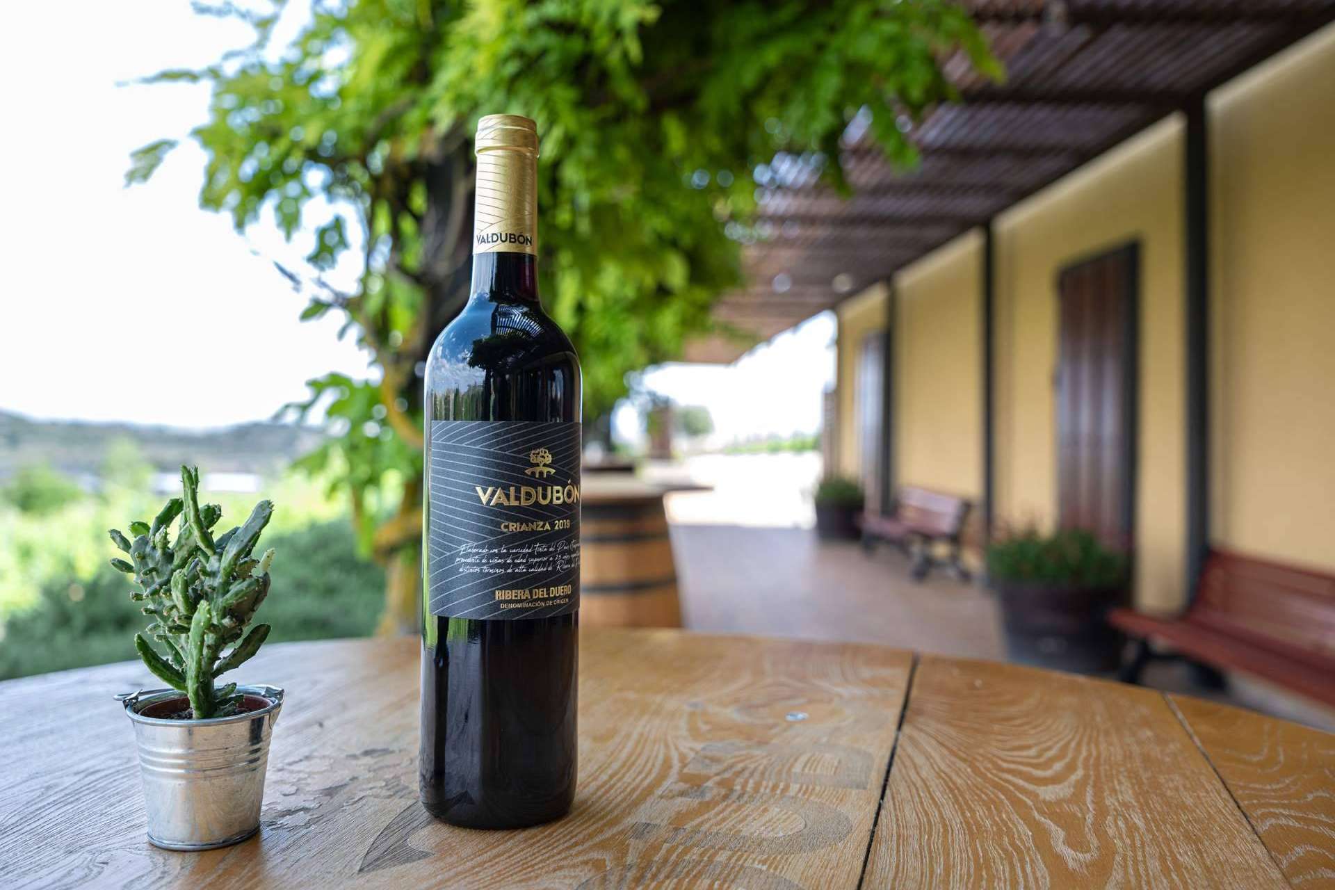 La bodega de Ribera del Duero de Ferrer Wines, Valdubón, triunfa como la más premiada del año