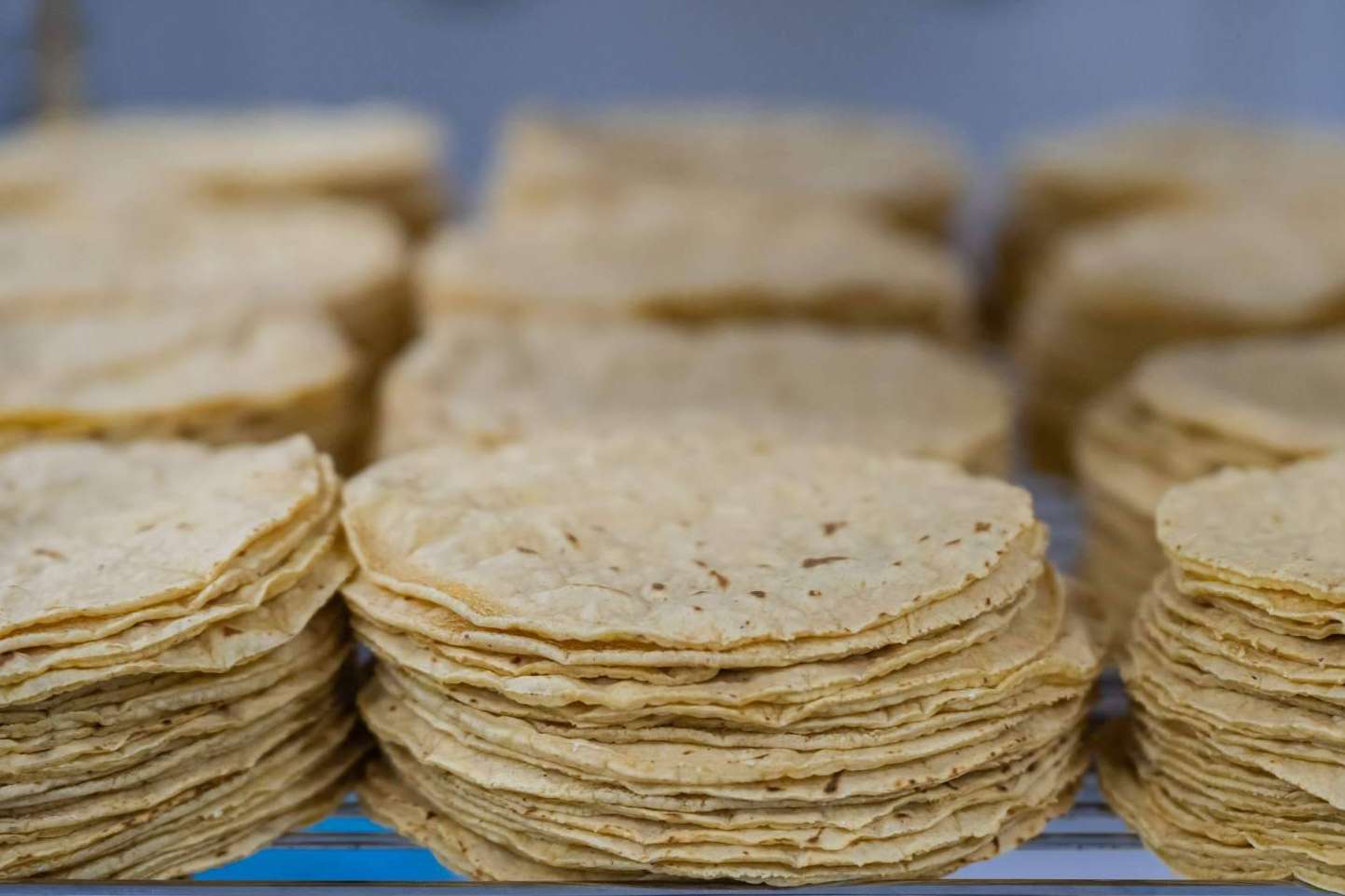 Maíz Maya, fábrica y tienda de productos con sabor a México
