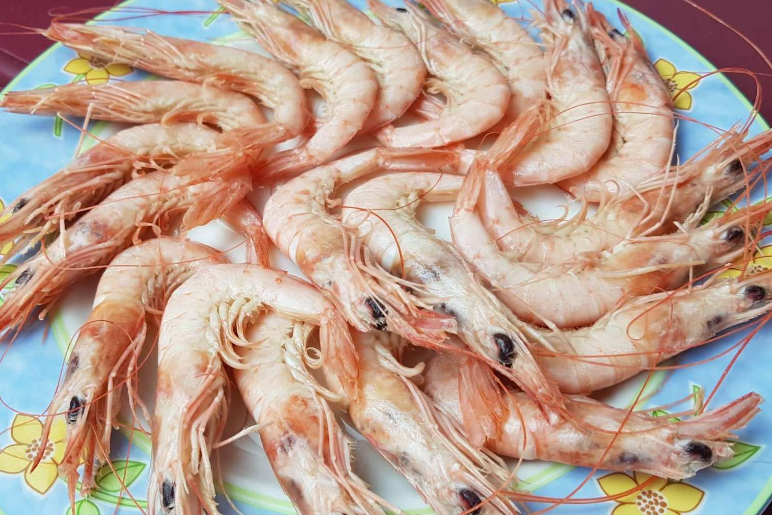 Lonja de Ayamonte explica cómo mantener el marisco fresco