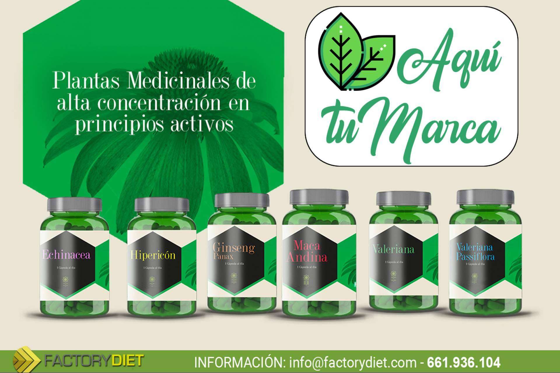 FactoryDiet ayuda a diferenciarse en las redes sociales