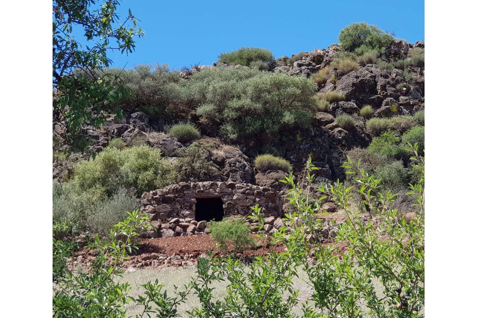 Encomienda de Cervera presenta un vino único; crianza en Gruta Volcánica libre de contaminación electromagnética