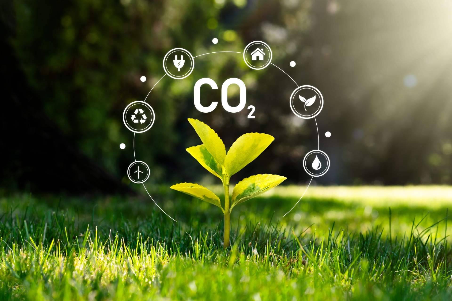 En un 90 % desde 2019, Multienergía Verde reduce su huella de carbono
