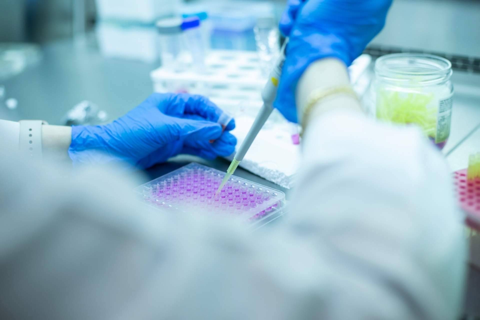 Immunotherapy Regenerative Medicine, especialistas en células madre en México