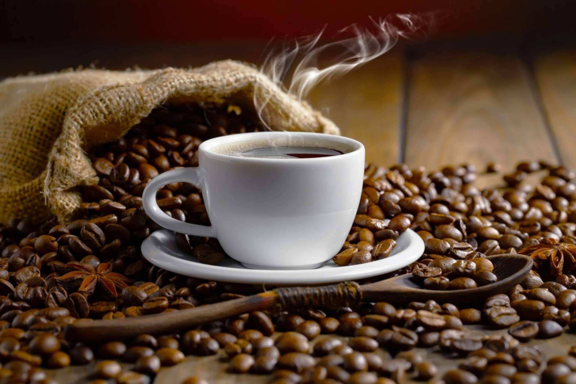 Italy Coffee Tea Store permite abrir un negocio con una alta rentabilidad