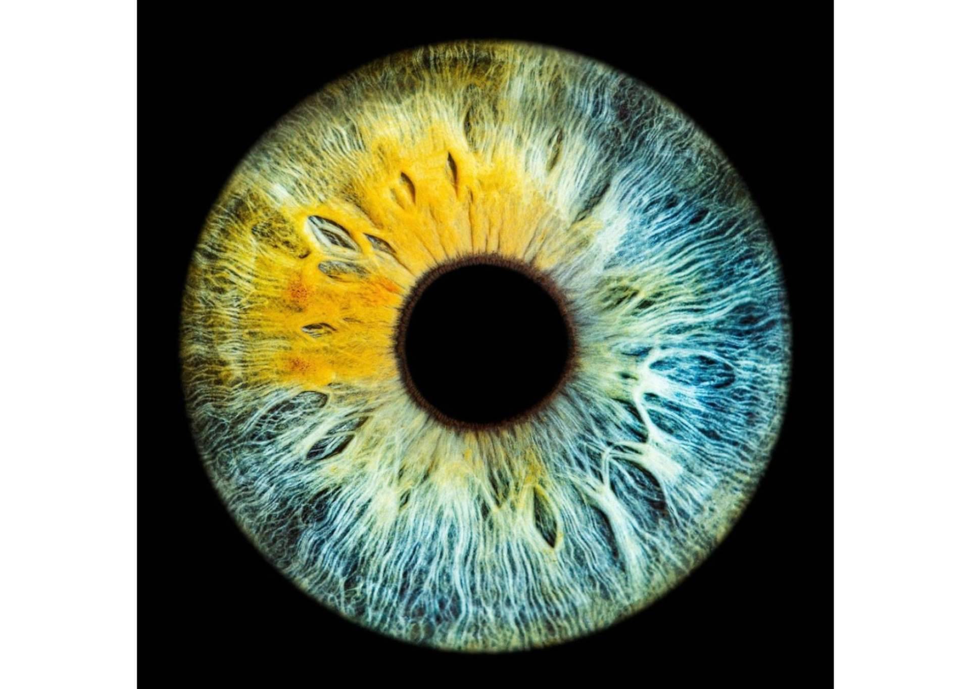 La clínica Eyecos desarrolla un software con tecnología puntera para evaluar el color de los ojos