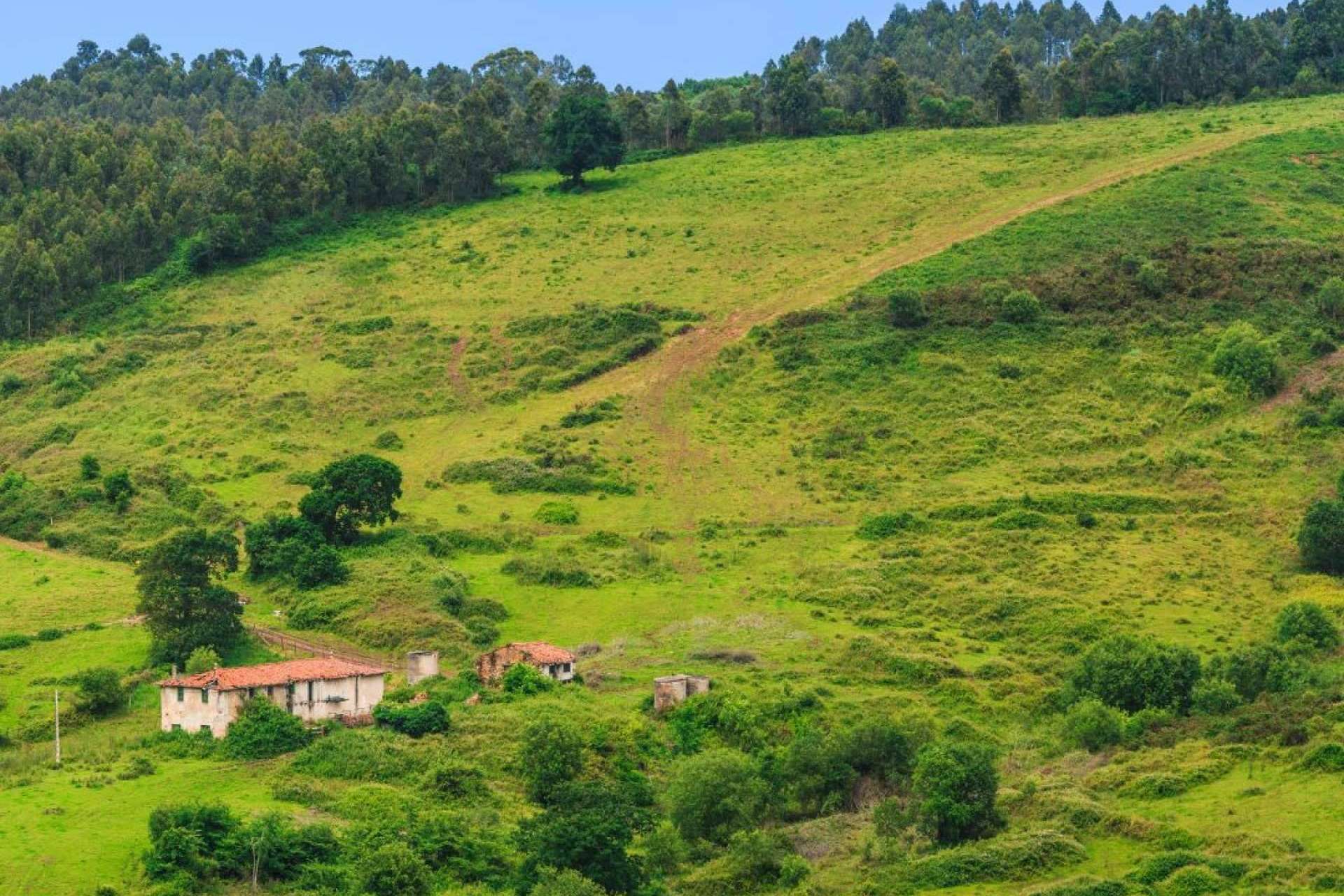 PisosenCantabria.es ayuda a encontrar un hogar en Cantabria