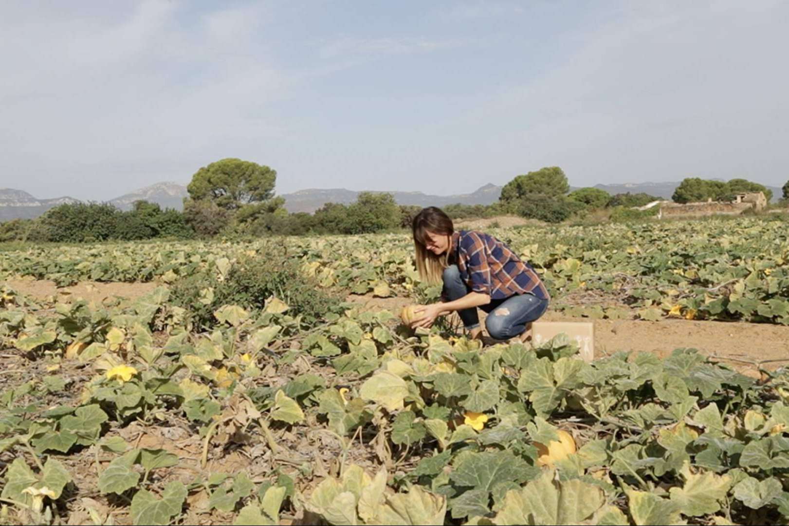Comprar verduras online en cualquier momento y desde cualquier lugar con Disfruta y Verdura