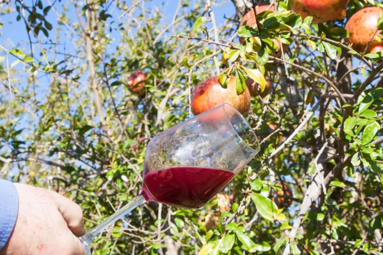 La Imperfecta presenta los zumos de granada ecológicos calidad premium