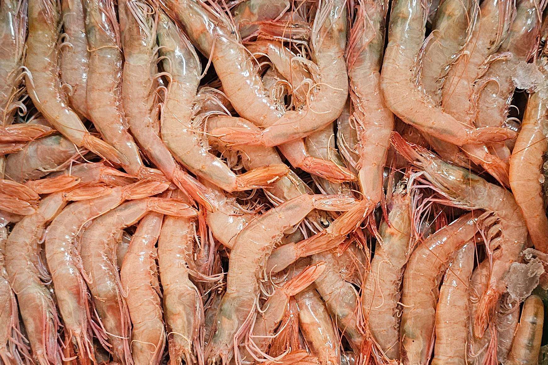 La gamba blanca de Huelva que ofrece la Lonja de Ayamonte