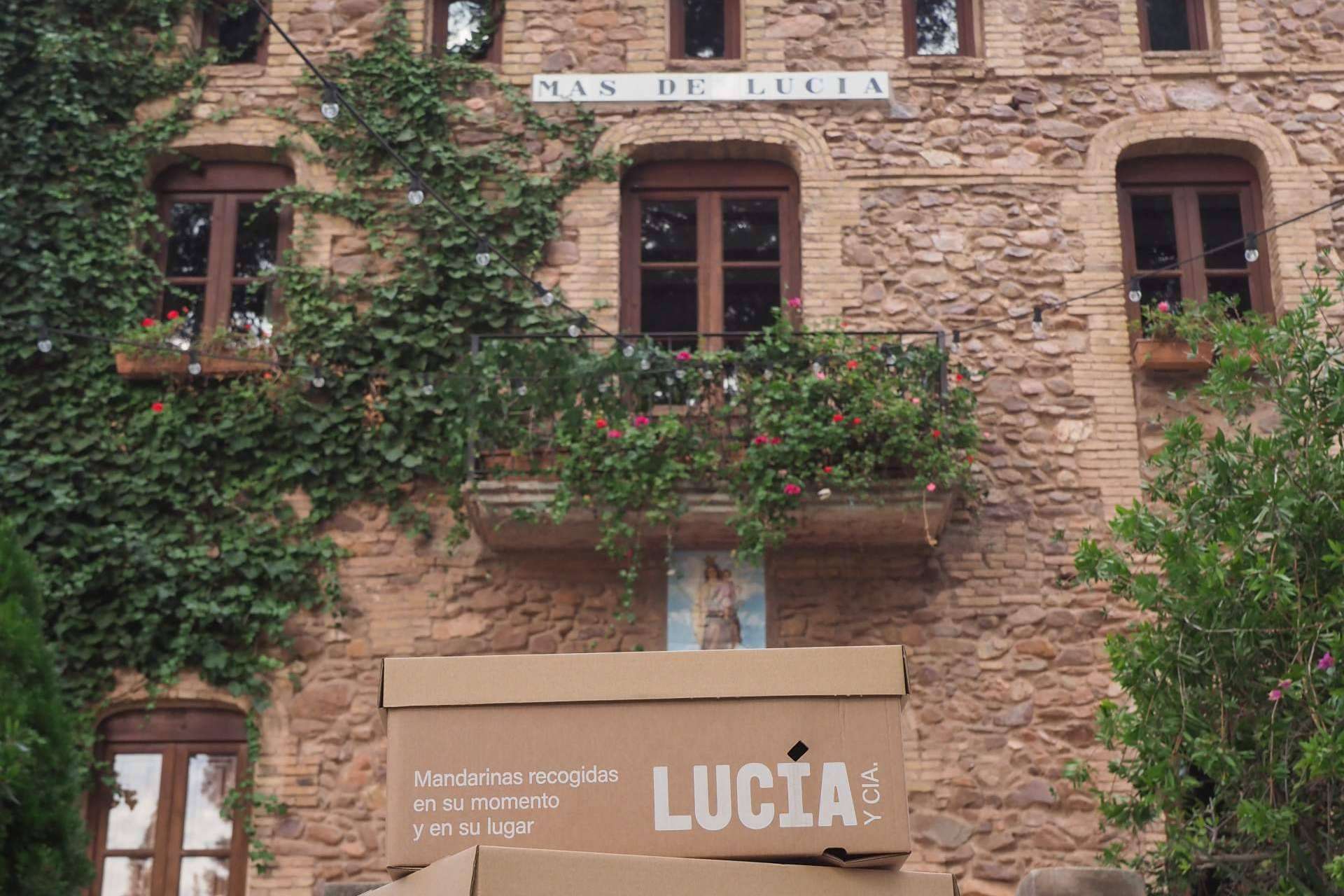 El banquete de mandarinas es un tributo a la conexión entre Lucía y Cía. y el Mas de Lucía