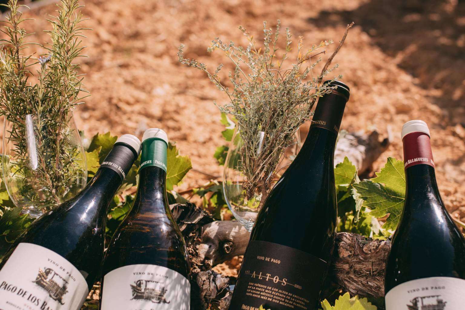 Bodegas Vegalfaro, una de las bodegas de vino de España de producción ecológica, presenta el vino como forma de vida