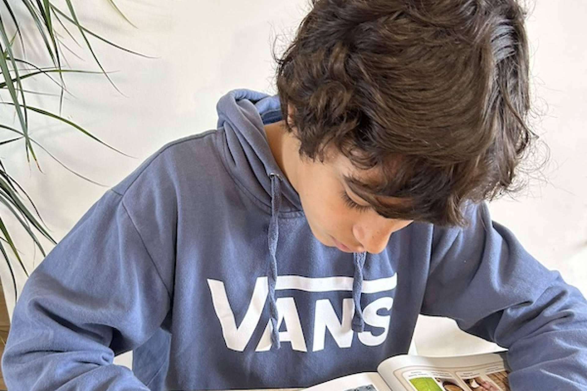 Predecir el éxito en la elección del futuro con una buena orientación vocacional