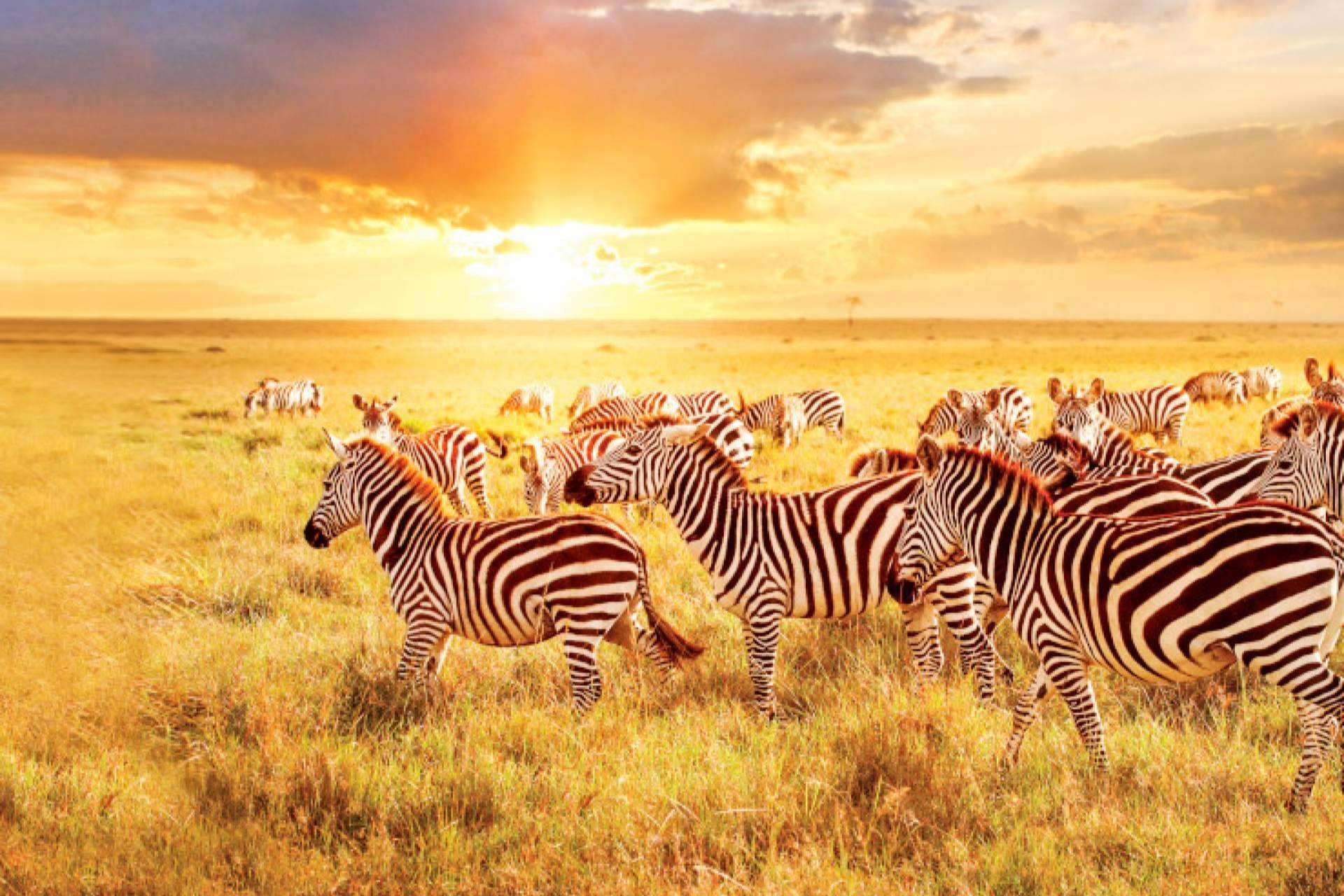 Realizar un gran viaje por África desde Barcelona con el buque Seabourn