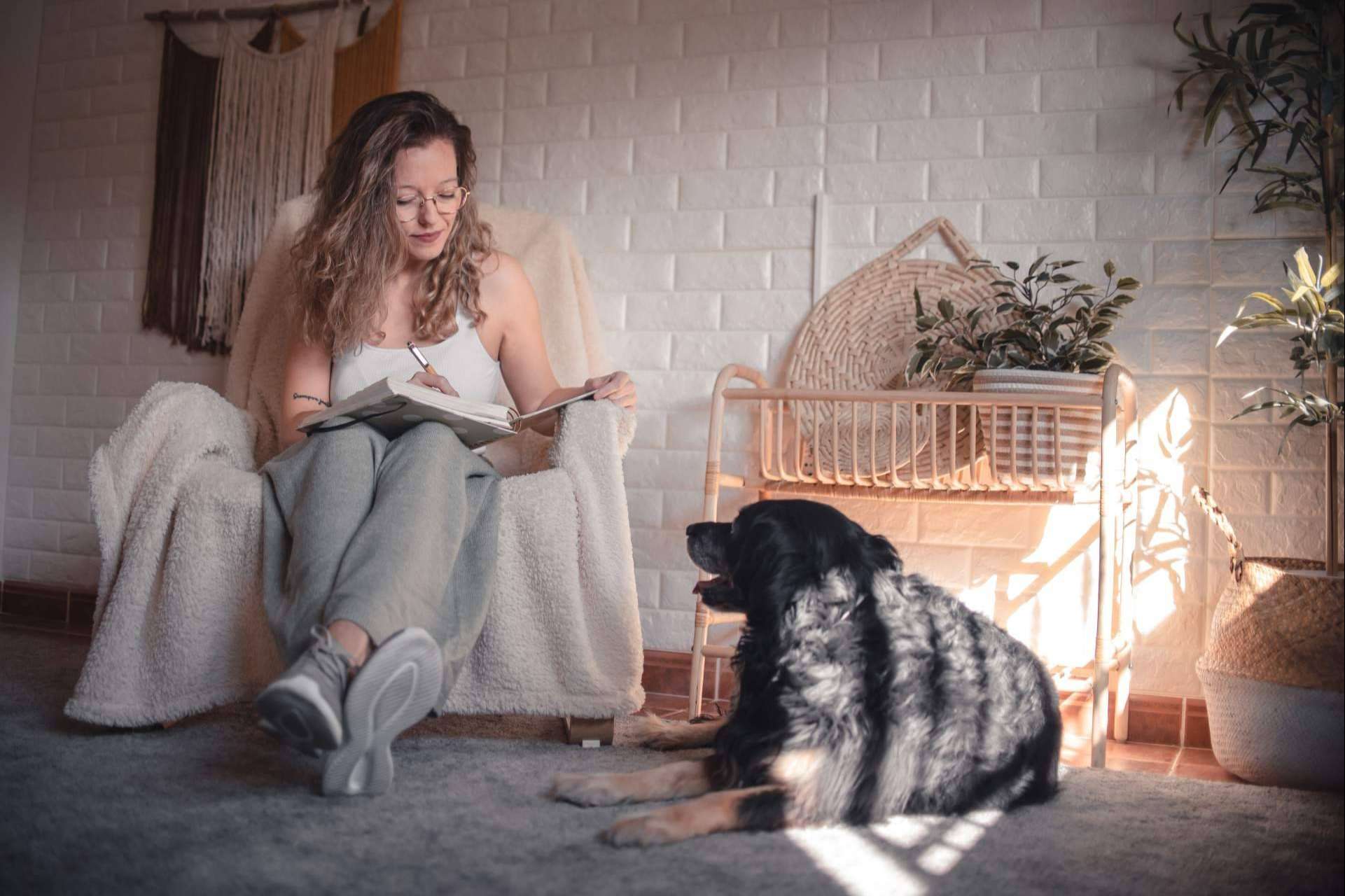 Gestión emocional en caninos con la especialista Mery Calvo