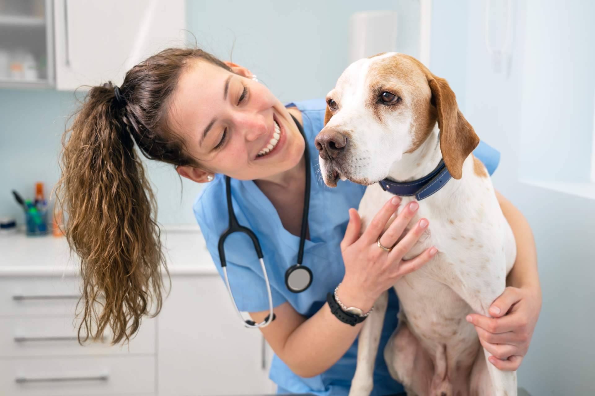 ¿Cómo convertir una clínica veterinaria en un referente del sector?